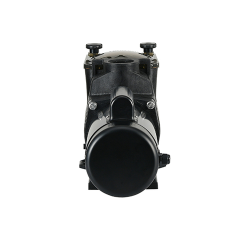 WSP Series Self-Priming Residential Swimming Pool Filter Pump