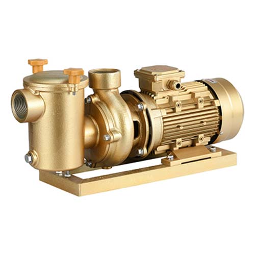 swimming pool pump