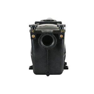 WSP Series High Performance & Energy Savings-One Touch Swimming Pool Filter Pump