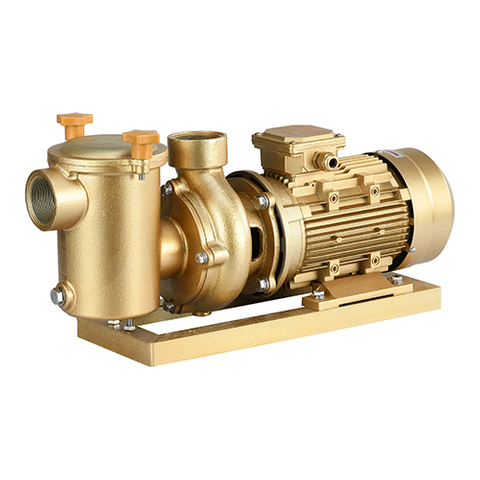 AWB Series Cast Copper Corrosion-Resistant Pump For Spring Water