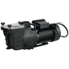 SPS Series Filtration Pump for Residential and Massage Pools