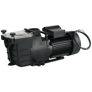 SPS Series Filtration Pump for Above Ground Pool Pump
